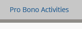 Pro Bono Activities